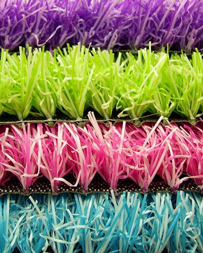 Coloured Grasses
