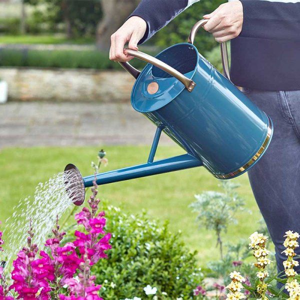 Watering Can - Blue 9L main product photo