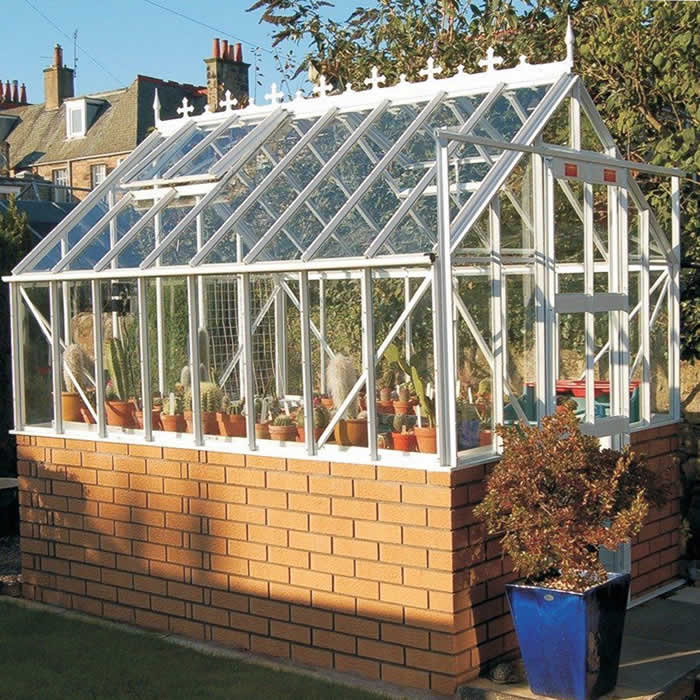 Elite Thyme 6' 3” Wide Dwarf Wall Greenhouse