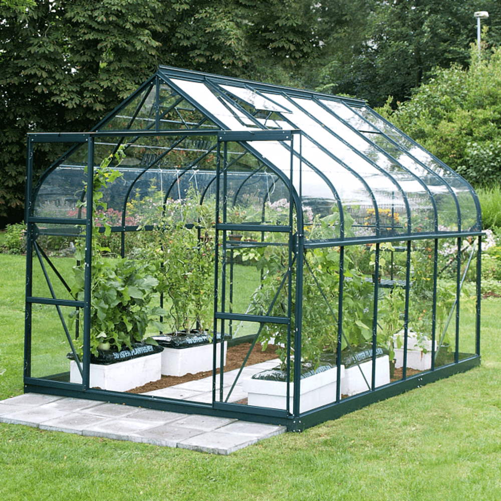 Saturn 9900 (8 x 12) in Green with Toughened Glass and Base