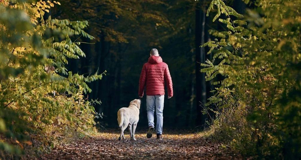 The Benefits of the Great Outdoors man walking dog in forest