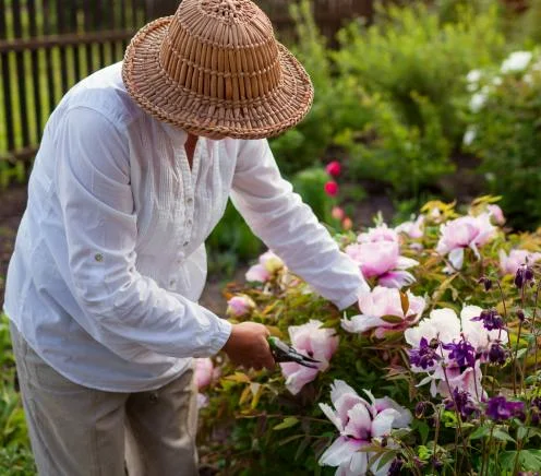 The Great Spring Garden Clean Up