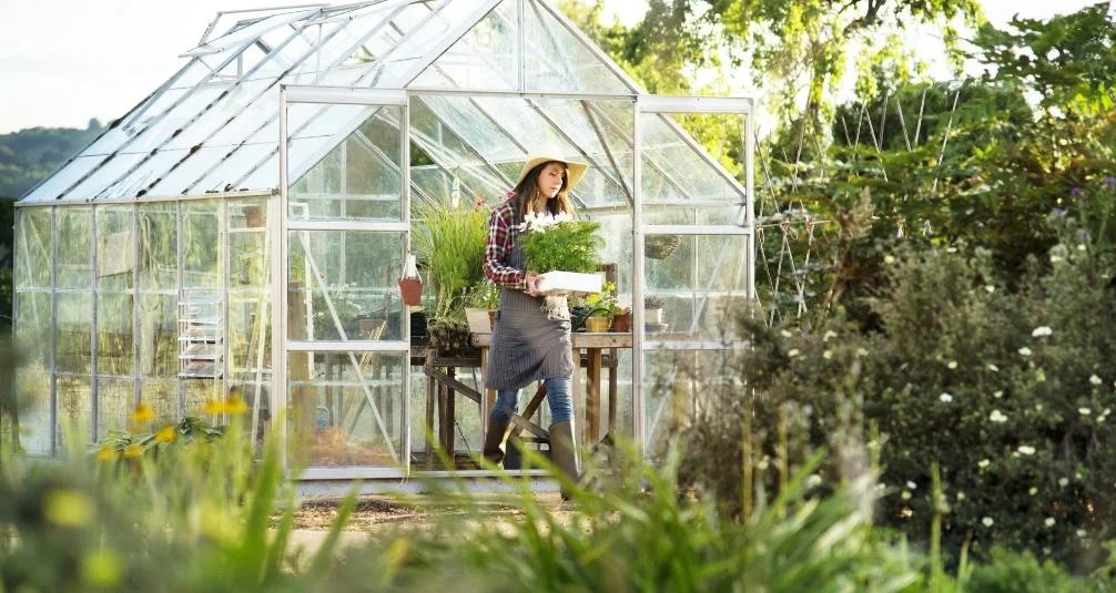 Summer Greenhouse in Garden 