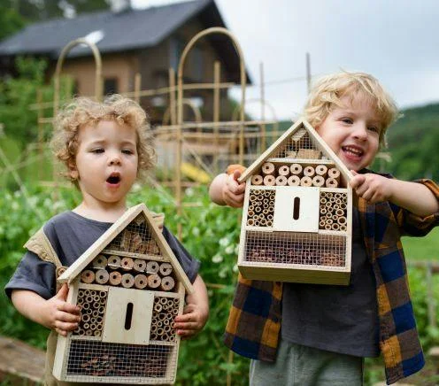 Key Elements for a  Wildlife-Friendly  Garden