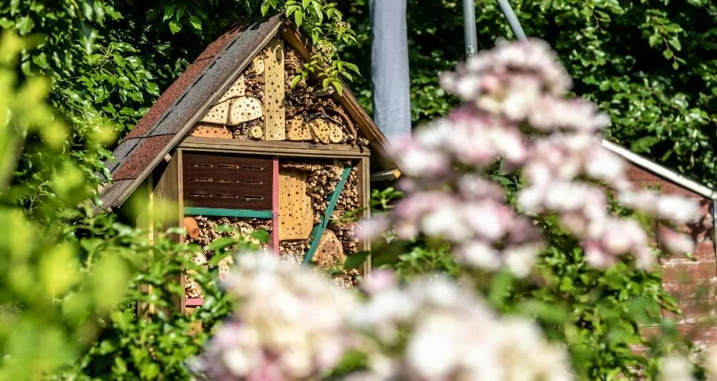 Insect Areas - Elements for a Wildlife Friendly Garden