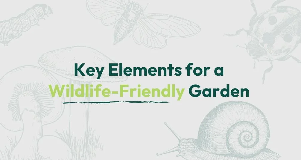 Water Fountain - Elements for a Wildlife Friendly Garden